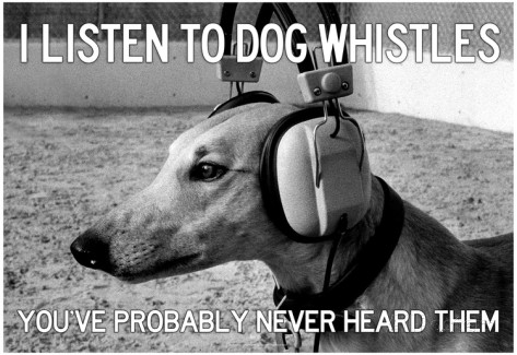 hipster-dog-listening-to-headphones-poster